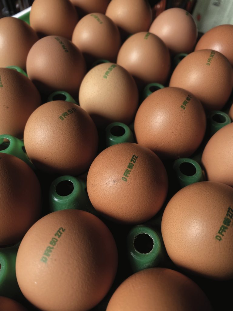 oeufs de ferme bio